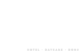 PET CAFFÉ - Hotel e Day Care